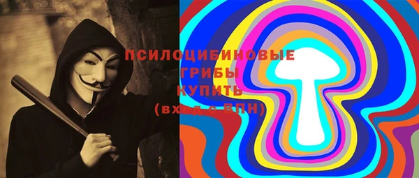 прущий лед Арсеньев