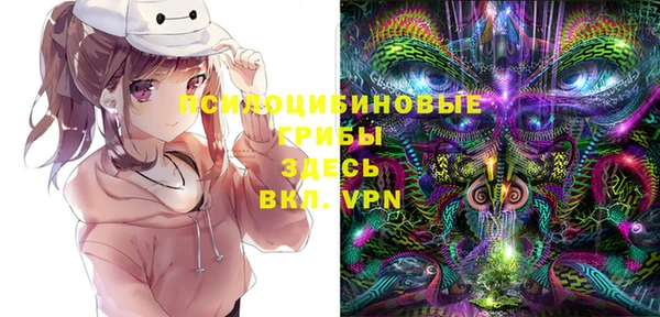 прущий лед Арсеньев