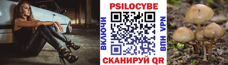 Галлюциногенные грибы Cubensis  Медынь 